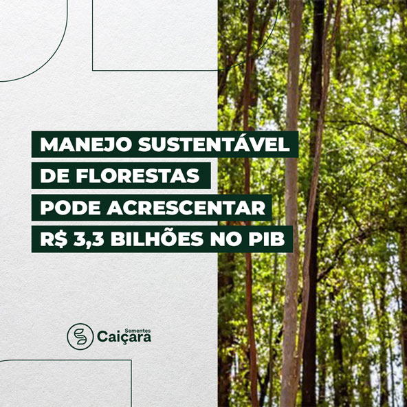 Manejo sustentável de florestas pode acrescentar R$ 3,3 Bilhões no PIB
