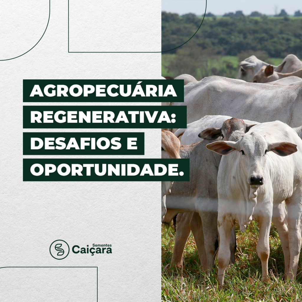 Agropecuária Regenerativa: Desafios e Oportunidade