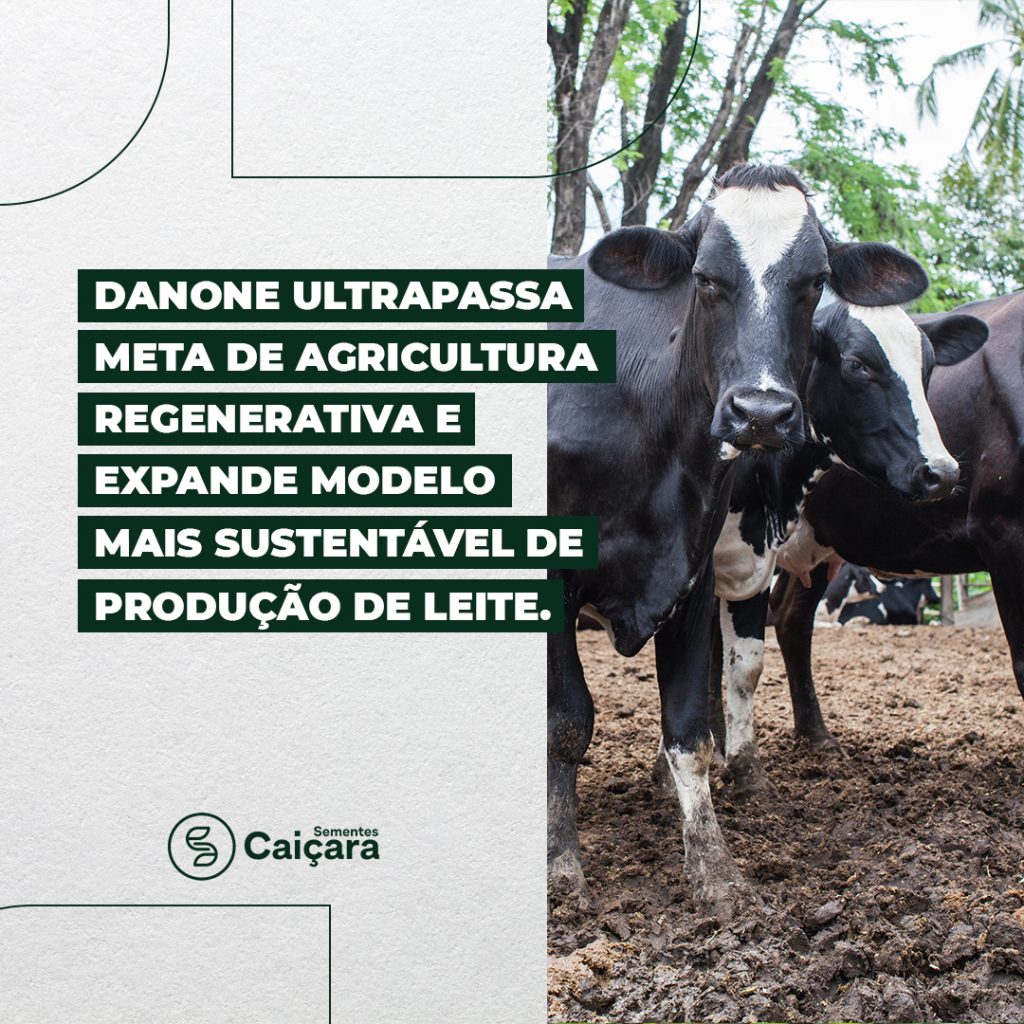 Danone Ultrapassa Meta de Agricultura Regenerativa e Expande Modelo Mais Sustentável de Produção de Leite