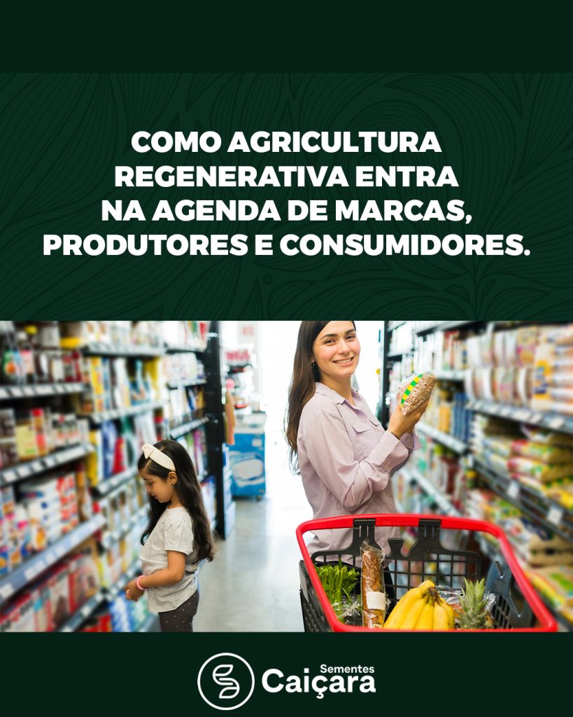 Como Agricultura Regenerativa Entra na Agenda de Marcas, Produtores e Consumidores