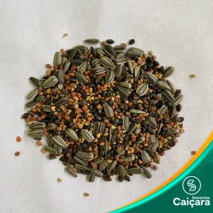 Design sem nome (1).jpg